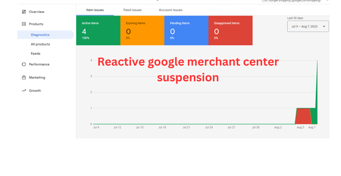 Fix google merchant center Misrepresentation